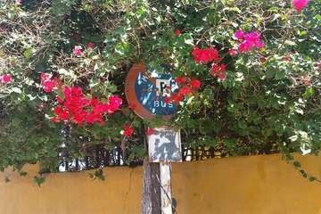 La tertulia La Buganvilla se queda sin sombra